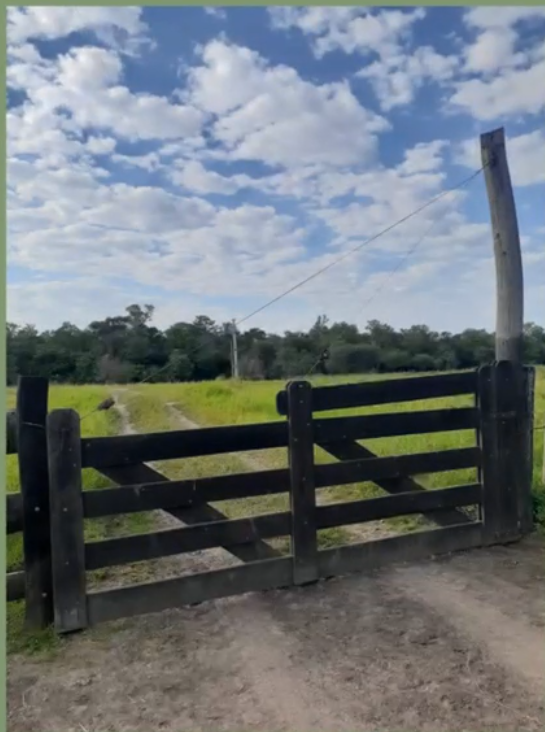 VENTA CAMPO GANADERO 1.470 HA – ESTANCIA LA ESTELA – CHACO, ARGENTINA