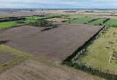 Campo en Venta Goldney 14ha