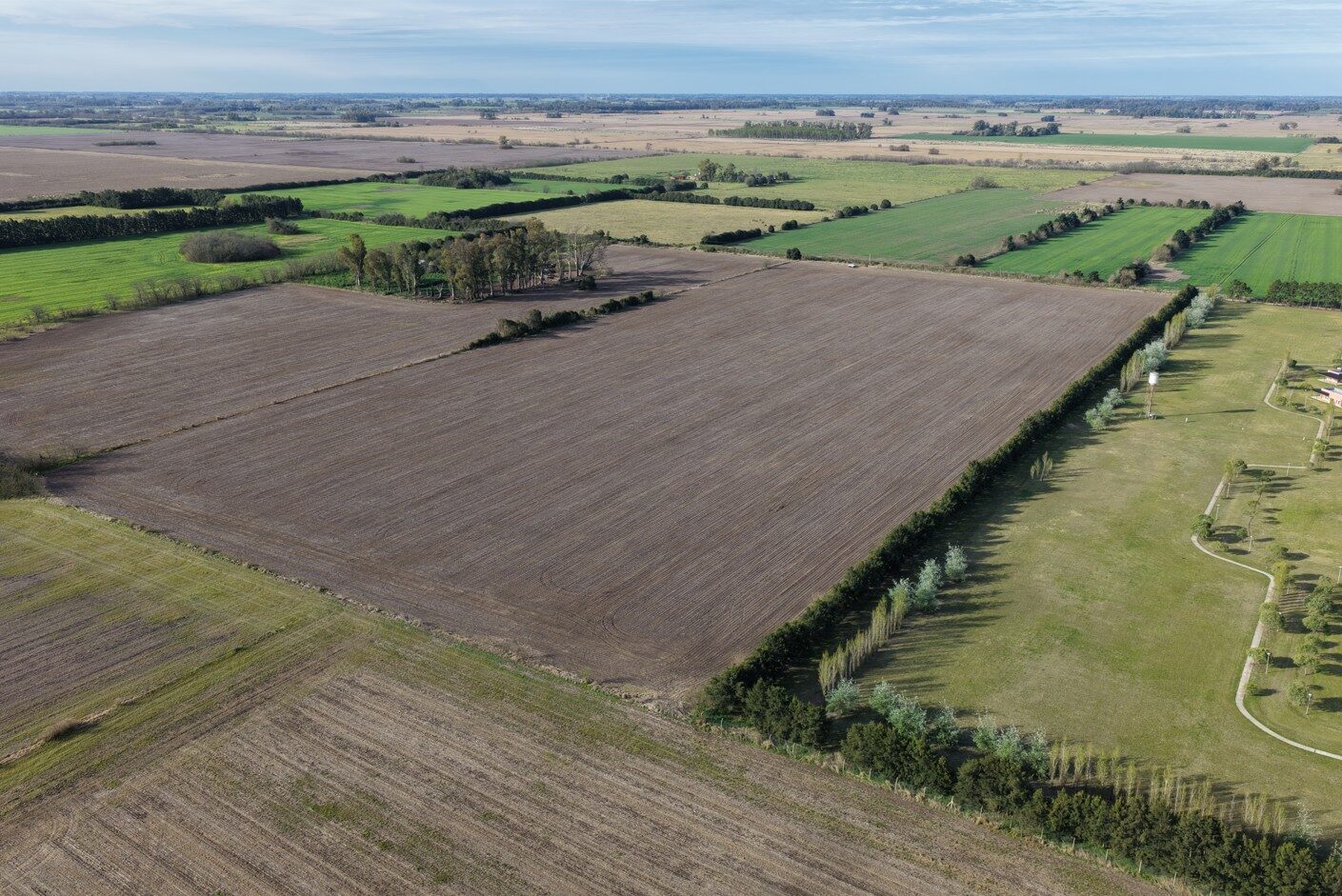 Campo en Venta Goldney 14ha